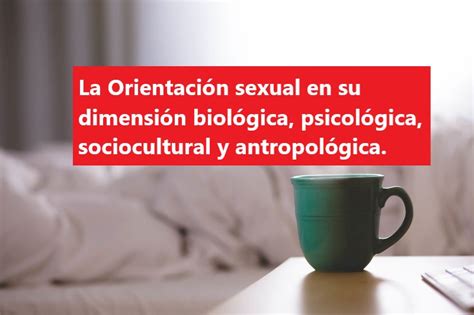 La Orientaci N Sexual En Su Dimensi N Biol Gica Psicol Gica