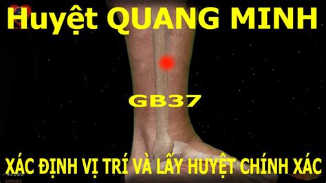 Gb Huy T Quang Minh Kinh T C Thi U D Ng M Acupoint Vikudo