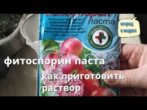 Фитоспорин. Как правильно его развести? - YouTube