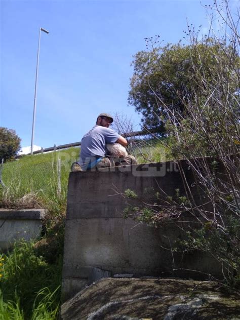 Bordighera Mentre Lavorano Sentono I Guaiti Di Un Cane Provenire Da Un