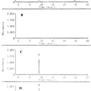 Typical Gc Ms Sim Chromatograms Of The Tms Derivatives Of Pyrogallol