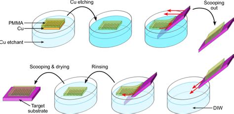 Schematic Of The Graphene Transfer Principle From The Cu Growth