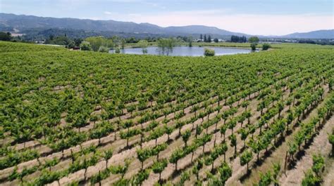 Wineries, Breweries, & Distilleries - Visit Ukiah