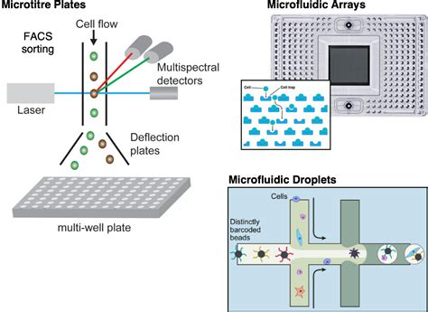 2 Introduction to Single-Cell RNA-seq | Analysis of single cell RNA-seq ...