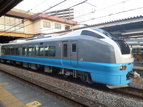 JR東日本E653系電車 冬を満喫海浜公園号 クハE653 1002 本庄駅 鉄道フォト写真 by トリテツノワグマさん レイルラボ