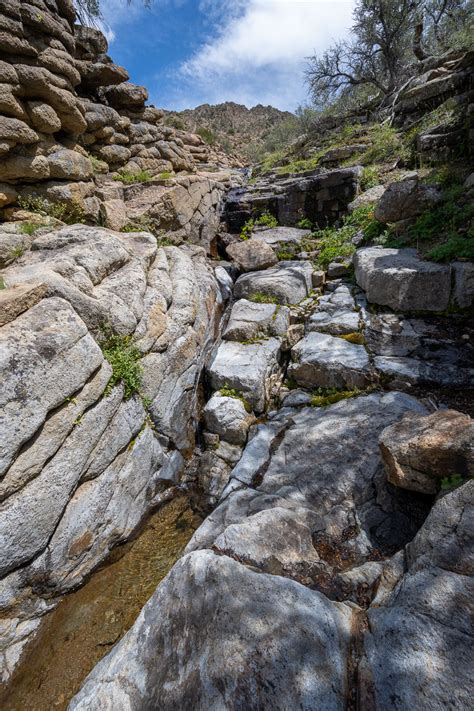 Jarbidge Wilderness | CK Outside