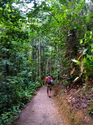 Everything you need to know to go surfing in Itacare, Bahia