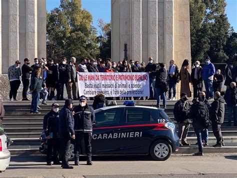 Allevatori Tensione Alle Stelle Monito Ai Politici Basta Provocazioni