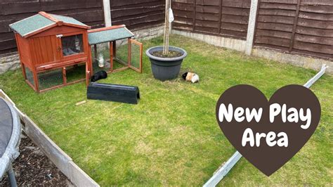 New Guinea Pig Outdoor Play Area Youtube