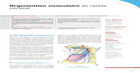 Organisation Musculaire Du Rachis Cervical Ces Muscles Sont