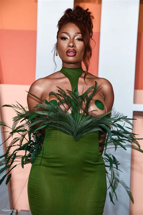 Megan Thee Stallion Megan Renee Theestallion Nude Leaks Onlyfans Photo Thefappening