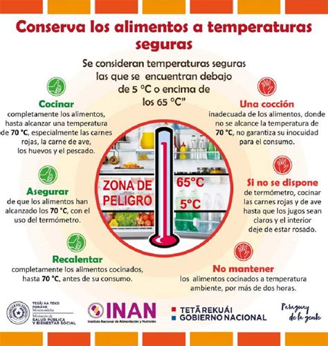 Todo Lo Que Necesitas Saber Sobre La Temperatura Ideal Para La