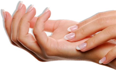 Acrylic Nails Transparent File Png Play