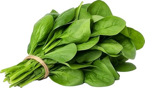 Bundle Of Fresh Spinach Png With AI Generated 34616691 PNG