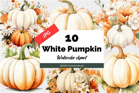 Watercolor White Pumpkin Clipart JPG Graphic by KiwiCakeStudio · Creative Fabrica