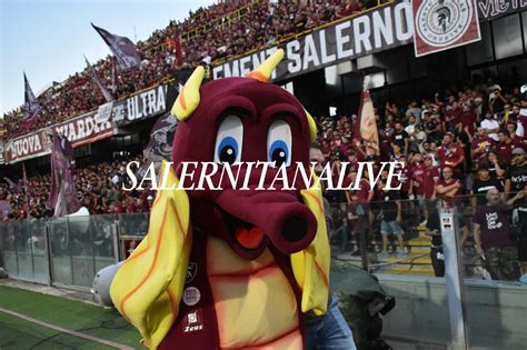 Prevendita E Abbonamenti Il Dato Aggiornato Salernitana Live