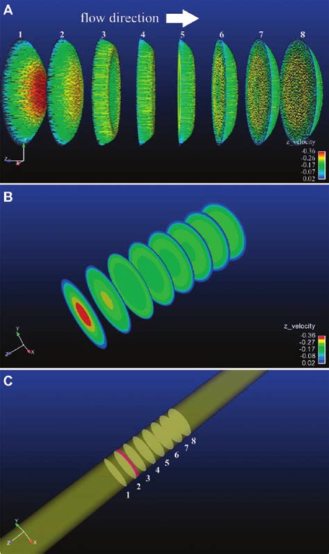 Velocity Vectors Color Coded With The Longitudinal Velocity Component