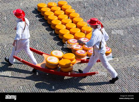 Porters Carriers Carrying Wheels Rounds Of Gouda Cheese By