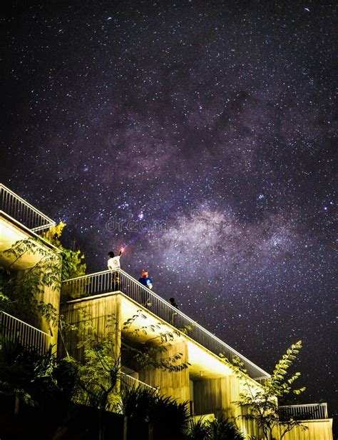 Stary Night Sky Over Rainforest Stock Image Image Of Agriculture