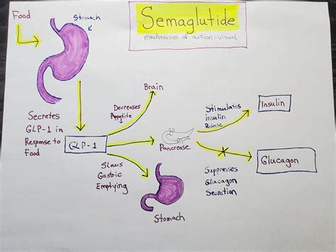 Weight Loss with Semaglutide and How It Works