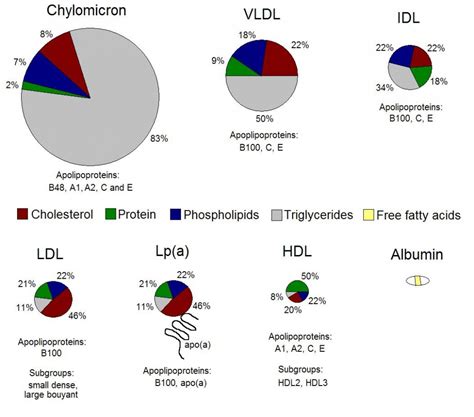 Plasma Lipoproteins A Primer