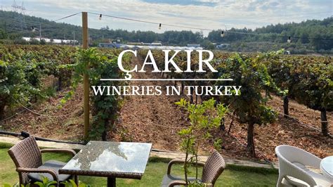 Turkey Wine Tours and Wine Tastings & Turkish grapesTurkish Wineries ...