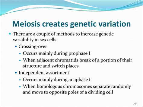 Meiosis And Genetic Variation Ppt Download