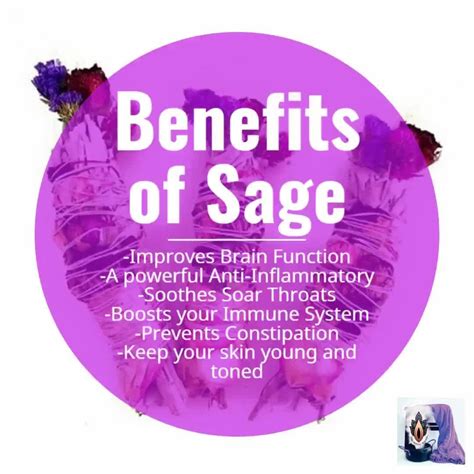 Benefits Of Sage Artofit