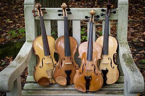 Bluejay Fiddles Bowed String Shop