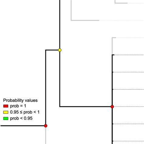 Majority Rule Consensus Tree Resulting From Bayesian Inference To