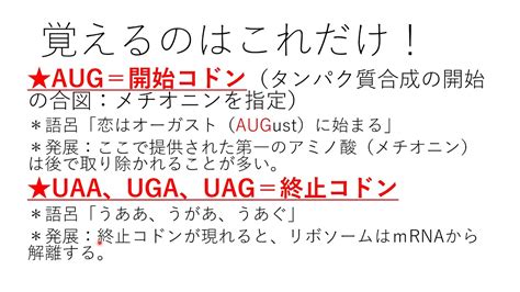 遺伝暗号表（コドン表）高校生物・生物基礎 Genetic Code Table Biology Lecture Youtube