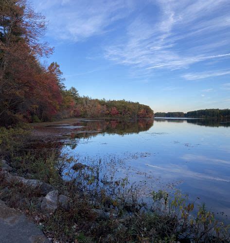 Best Hikes And Trails In Middleton Pond Alltrails