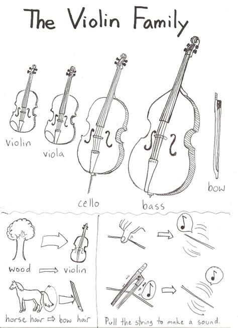 The Violin Family by Valkeus on DeviantArt