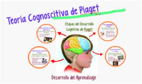 Que Es La Teoria Del Desarrollo Cognitivo De Piaget Store Ladorrego