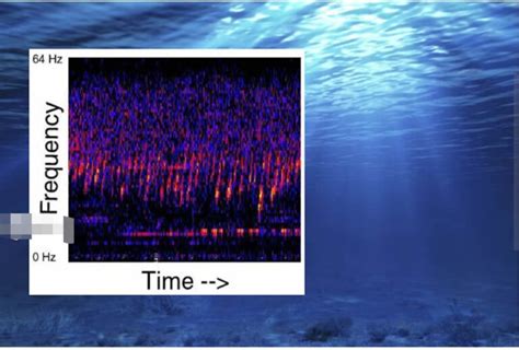 The Bloop El Misterioso Sonido Proveniente De Las Profundidades Del