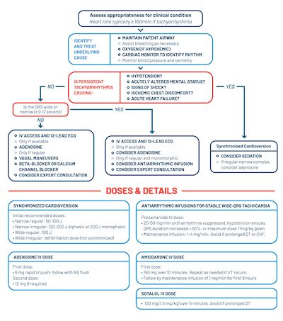 Acls Printable Algorithms Free Printable Templates