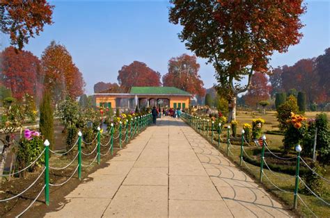 Gardens Of Shalimar In Kashmir Fasci Garden