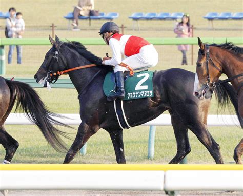 【チューリップ賞・ヤマタケの特注馬】地味だが強いショウナンマヌエラ このメンバーなら地力が一枚上 Umatoku 馬トク