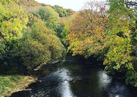 River Tamar Cornwall For Ever