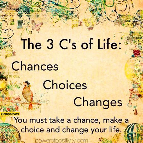 Cs Of Life Chances Choices Changes Starecat