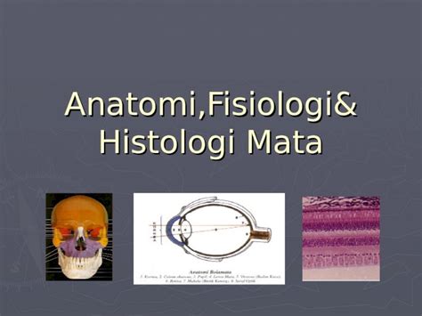 Ppt Anatomi Fisiologi Histologi Mata Dokumen Tips Sexiz Pix