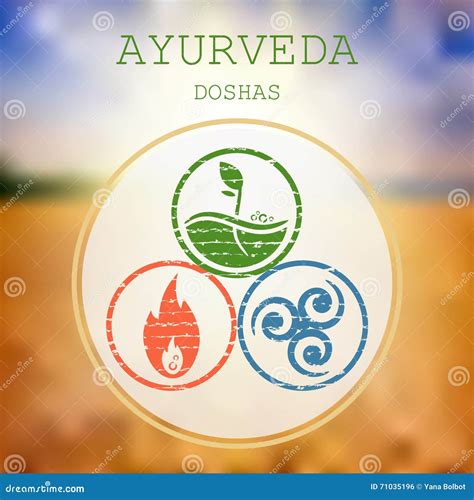 Ayurveda Vector Illustration Stock Vector Illustration Of Doshas Body 71035196