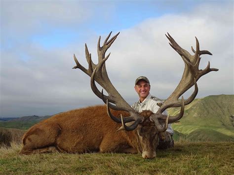 Red Stag Hunting Alpine Hunting