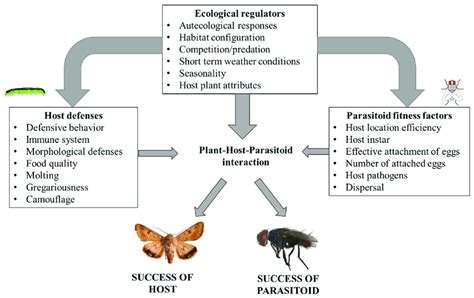 Simplified Diagram Of Potential Factors Influencing The Success Of CEW