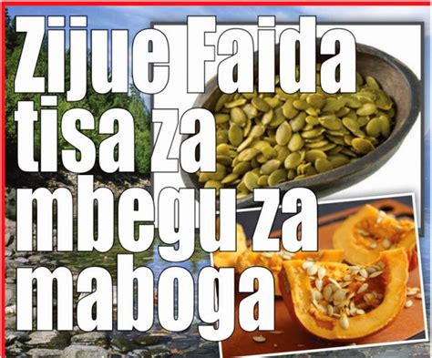 ZIJUE FAIDA TISA ZA MBEGU ZA MABOGA Mzizi Mkavu