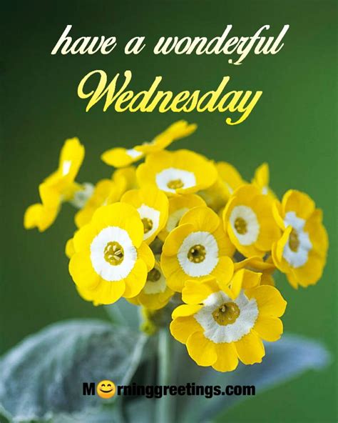 Wednesday Good Morning Wishes Good Morning Wednesday Quotes And Images