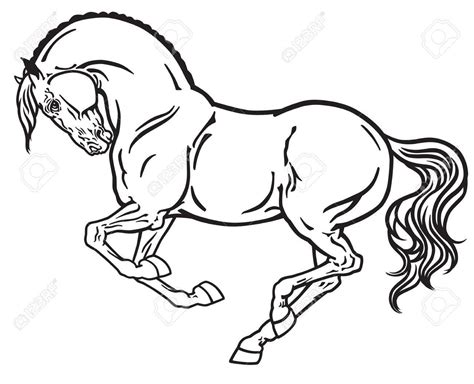 horse stallion in gallop. Side view outline black and white vector Horse Drawings, Doodle ...