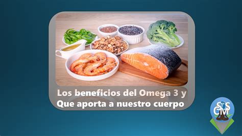 Los Beneficios Del Omega 3 Y Que Aporta A Nuestro Cuerpo