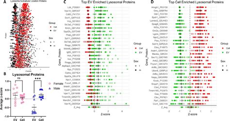 Lysosome Subcellular Located Proteins In Evs And Cells 7a Volcano Plot Download Scientific