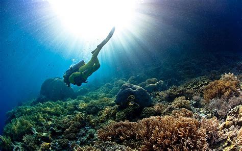 Where to go pearl diving in Bahrain